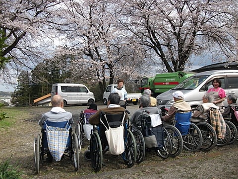 お花見